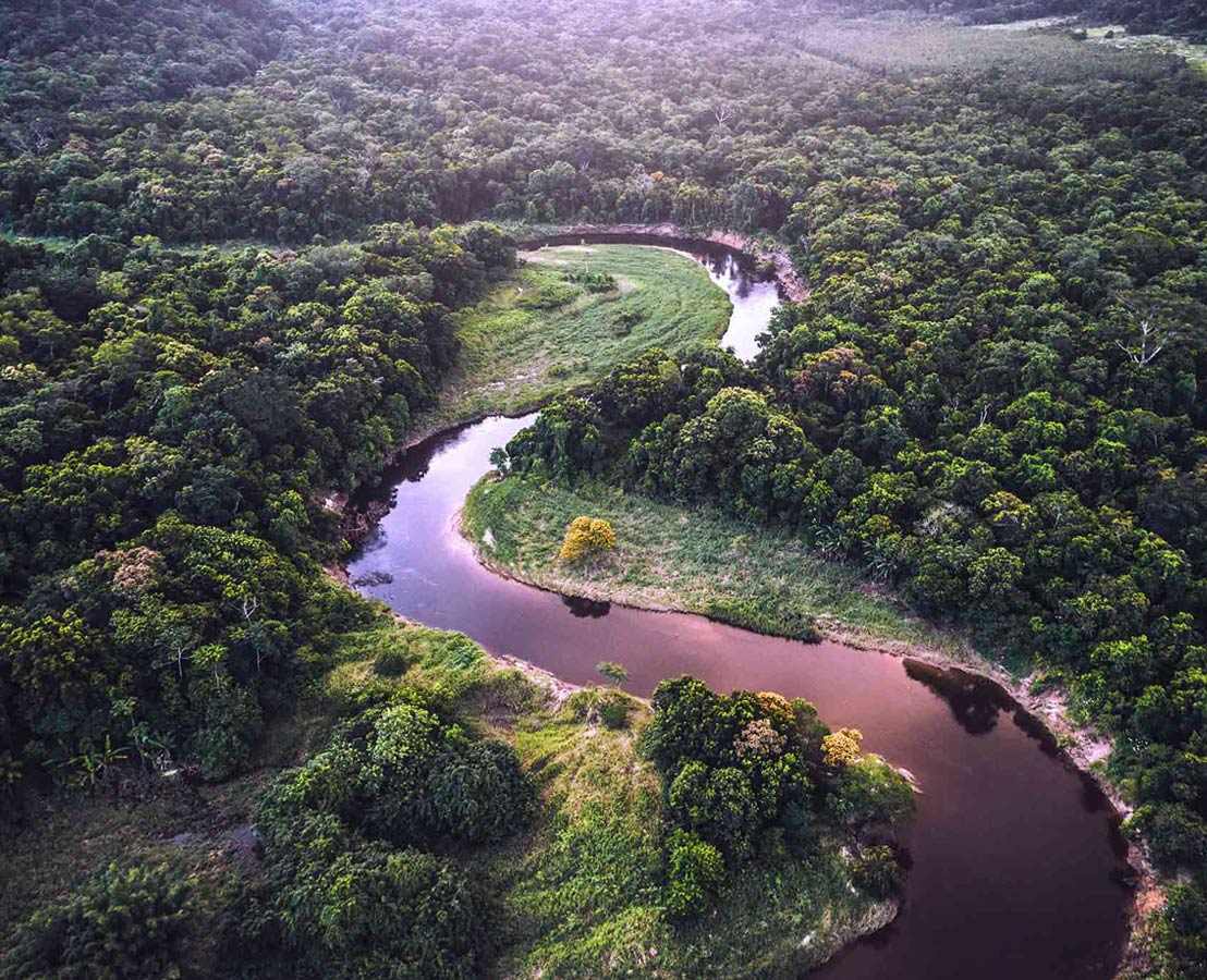 Immagine di fiume con vegetazione attorno